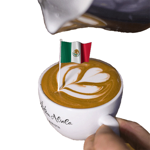 Coffee Time Mexico GIF by Dritan Alsela Coffee