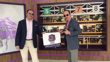 Horse Racing GIF by Breeders' Cup World Championships