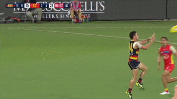adelaidecrows 2019 afl adelaide crows round five GIF