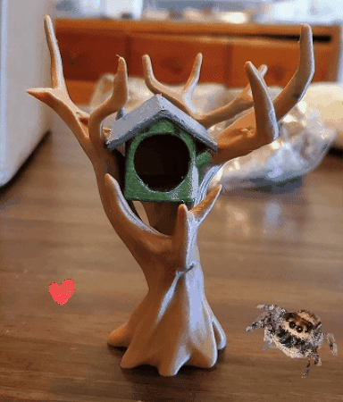 Spiders GIF