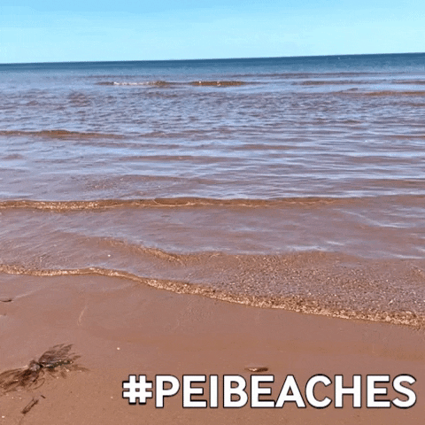 twinshores pei twin shores twin shores pei pei beaches GIF