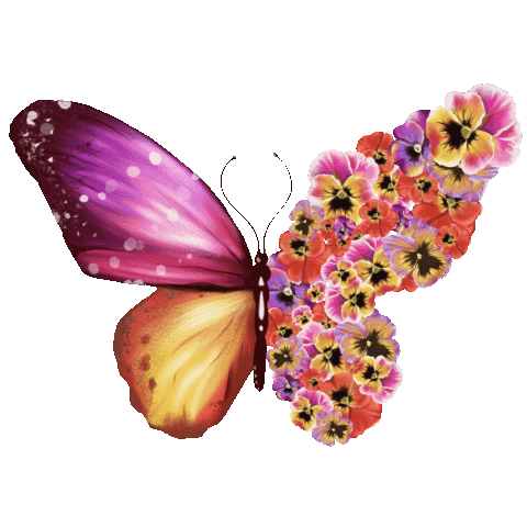 Sandra Kurantowicz Illustration Sticker