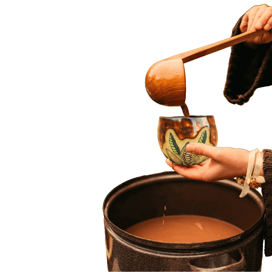 Cocoa Cacao Sticker by kakaositos.cz