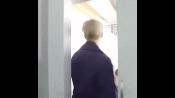 Shinee GIF