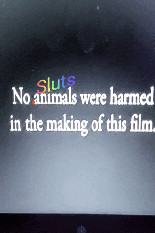 Disclaimer GIF