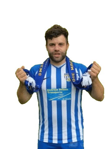 DMZWeinstadt Sticker