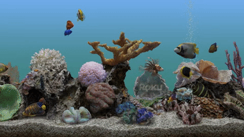 aquarium screensaver GIF