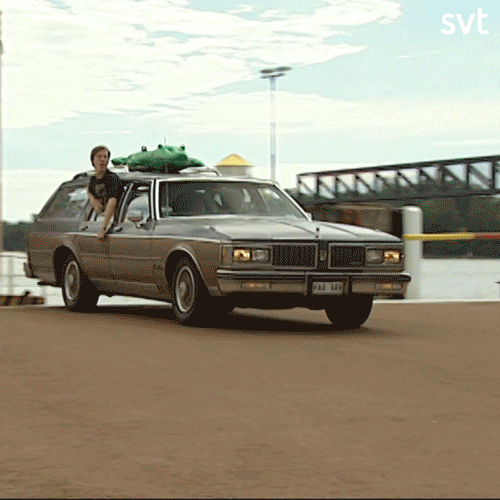 Party Car GIF by SVT