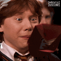 Ron Weasley Magic GIF by Harry Potter