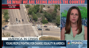 News GIF