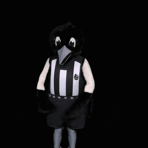 Collingwood Magpies Football GIF by CollingwoodFC
