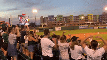 Minor League Baseball Dance GIF by Lansing Lugnuts