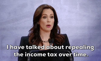 Income Tax Michigan GIF by GIPHY News