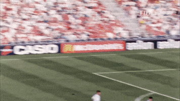 France Win GIF by FIFA