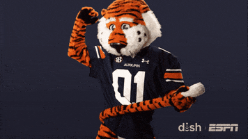 Celebrate College Football GIF by DISH