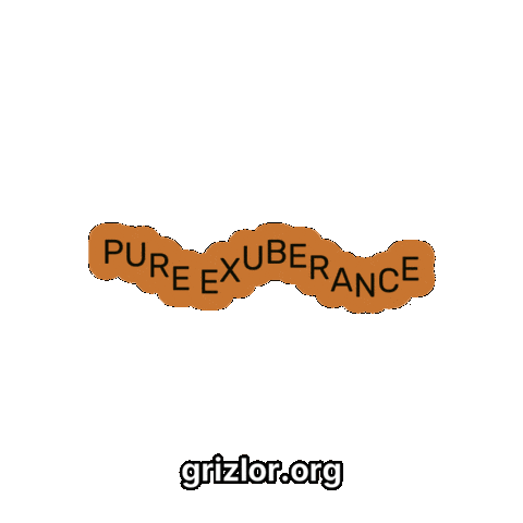 Positive Sticker by grizlor