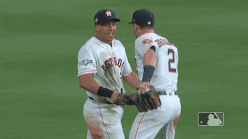 Lets Go Sport GIF by MLB