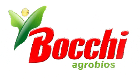 Bocchi GIF - Bocchi - Discover & Share GIFs