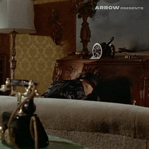 Movie gif. Blonde woman in "Blood and Black Lace" pops up from behind a couch, desperately reaching for a rotary phone on a table as we see a man slowly get up from the ground behind her.