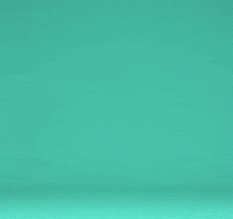 200.gif?cid=fc005b0887207fdac6e65f8f2a15b5ec8931a4f0550d1c4f&rid=200.gif&ct=g