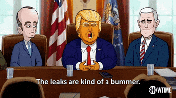 season 1 the leaks are kind of a bummer GIF by Our Cartoon President