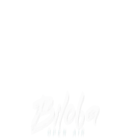 Biloba Lleida Sticker