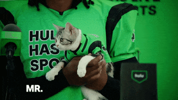 Todd Gurley Cat GIF by HULU