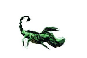 AsukaGruen green black animal analog GIF