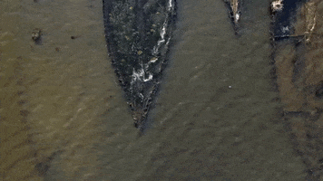 200.gif?cid=fc005b087428ce095d777690ab42f71d7acaa21e0123fc7a&rid=200.gif&ct=g