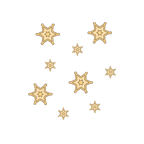The Slow Rodeo Sticker