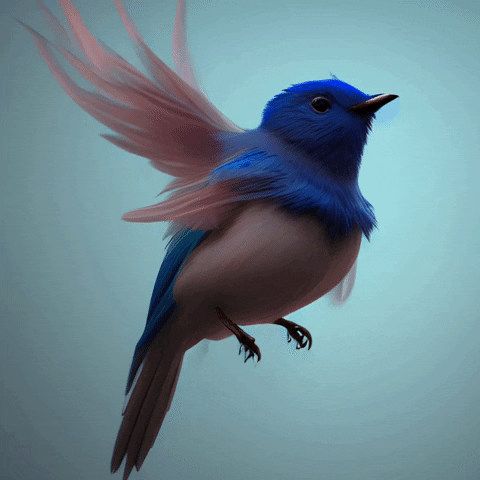 Bird GIF