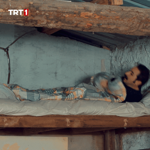 Wake Up Reaction GIF by TRT
