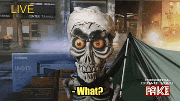 What The Wtf GIF by Jeff Dunham