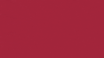 Charroslmb2025 GIF by Charros de Jalisco