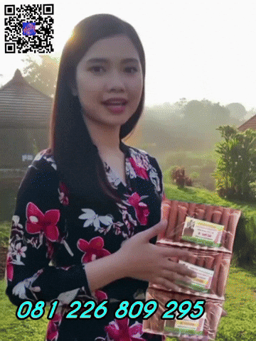 Indonesia GIF