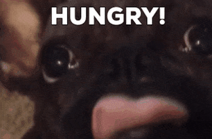 Food GIF