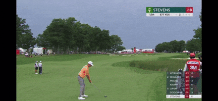 Golf GIF