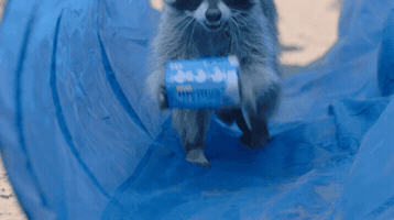 Recycle GIF