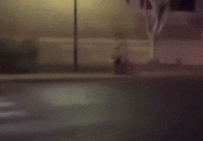 Run GIF