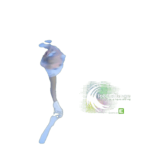 Sticker by Icechallenge