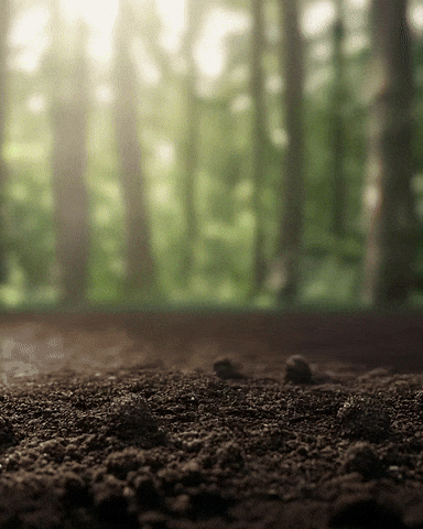 Convencaodevendas GIF by Vitalin