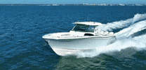 Day Running GIF by MarineMax