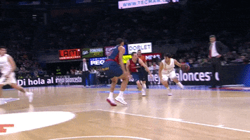 real madrid basketball GIF by ACB