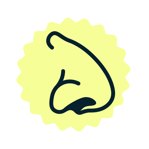 Visit Turku Archipelago Sticker