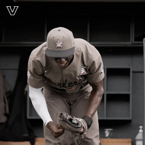 Celebrate College World Series GIF by Vanderbilt Athletics