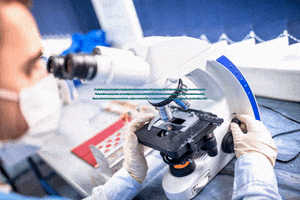 Mycoplasma Contamination Test GIF