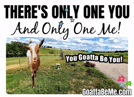 Believe In Yourself GIF by Goatta Be Me Goats! Adventures of Pumpkin, Cookie and Java!