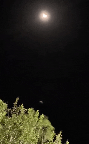 Night Sky Moon GIF by Storyful