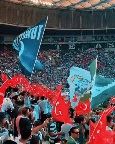 Bursa GIF