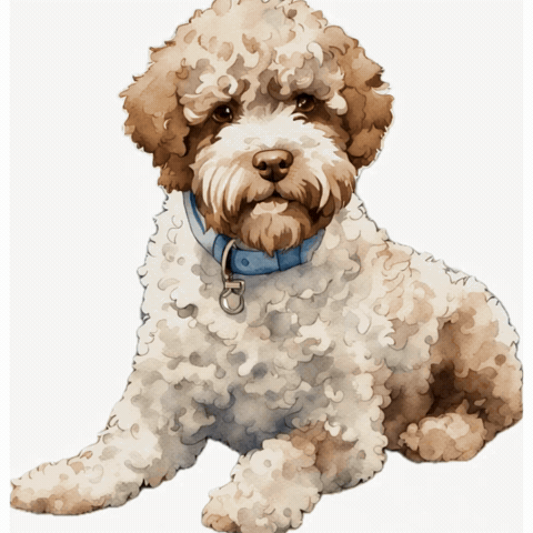 Doodle Waterdog GIF by Lernfitness